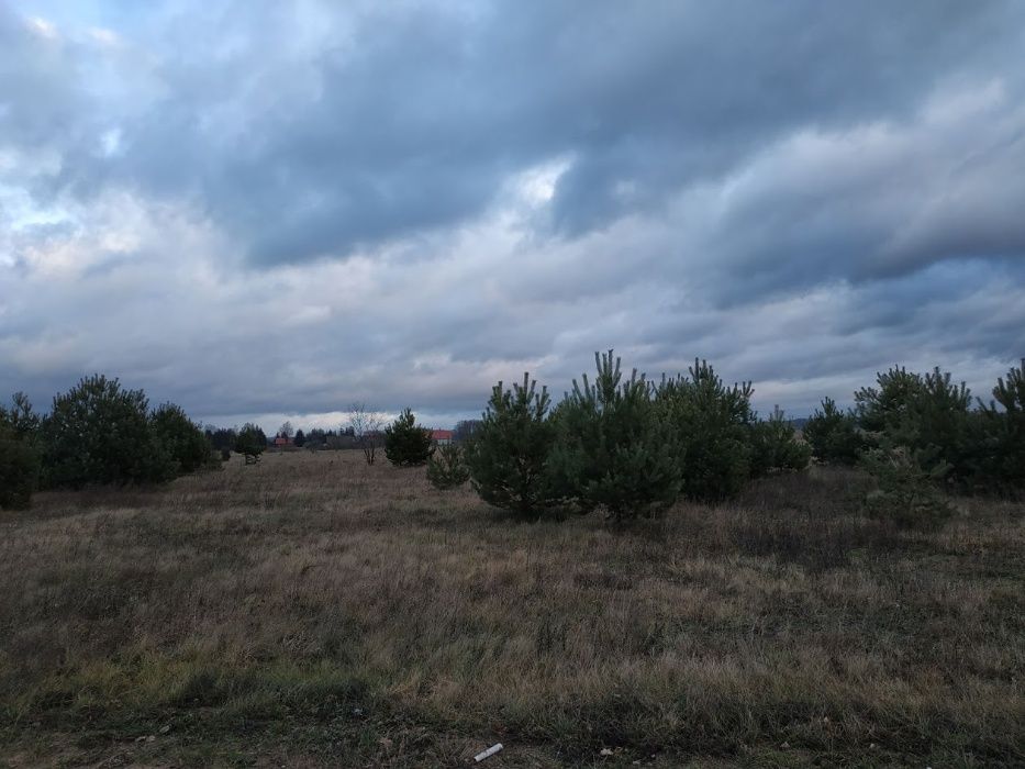 Działka rolna Brok, ul. Przychód. Zdjęcie 3