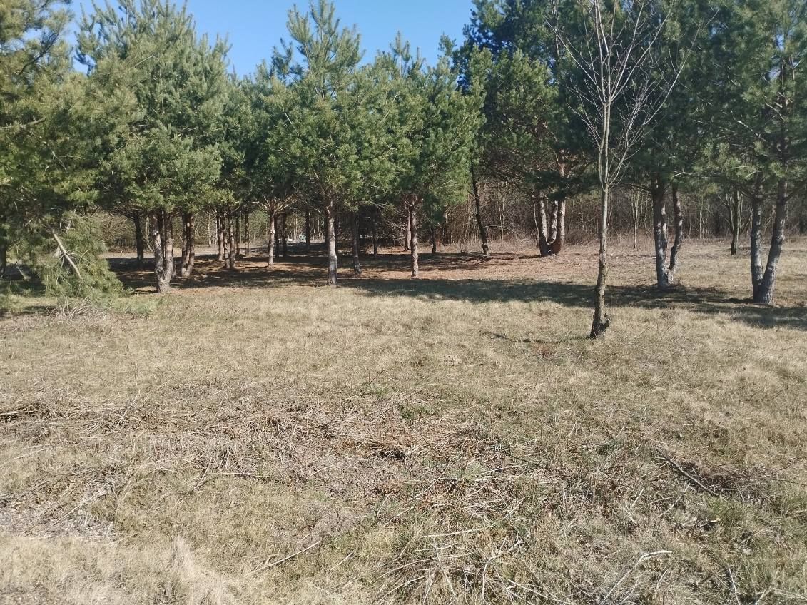 Działka budowlana Jedlicze B, ul. Bukowa. Zdjęcie 3