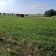 Działka budowlana Kobielice. Zdjęcie 6