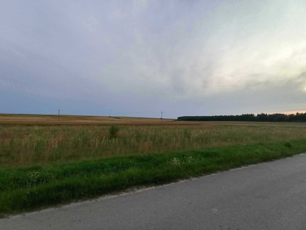 Działka budowlana Sielec. Zdjęcie 8