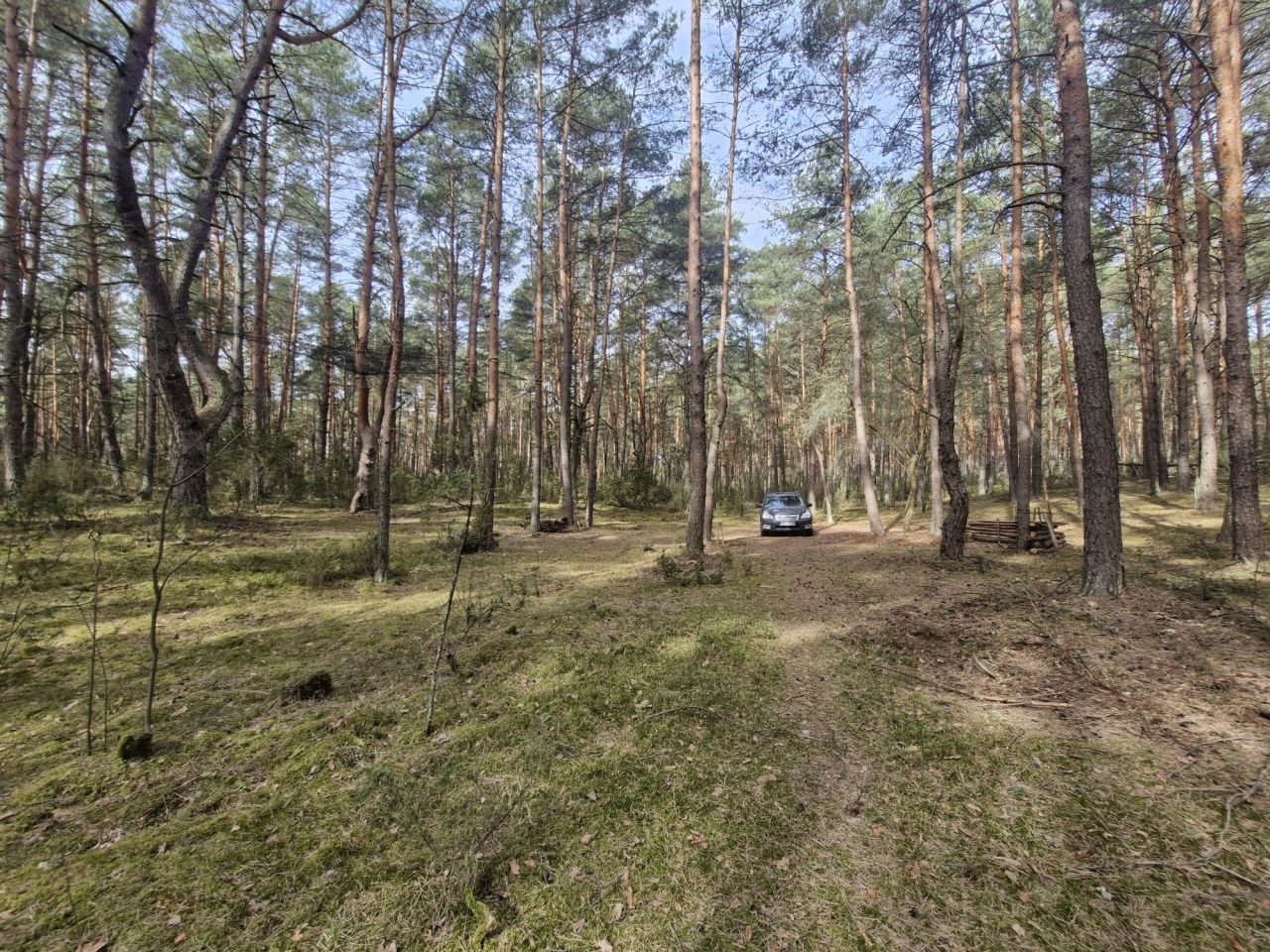 Działka rekreacyjna Lucynów Duży. Zdjęcie 6