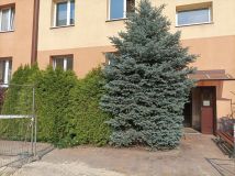 Mieszkanie 1-pokojowe Łódź Polesie, Kaminskiego. Zdjęcie 2