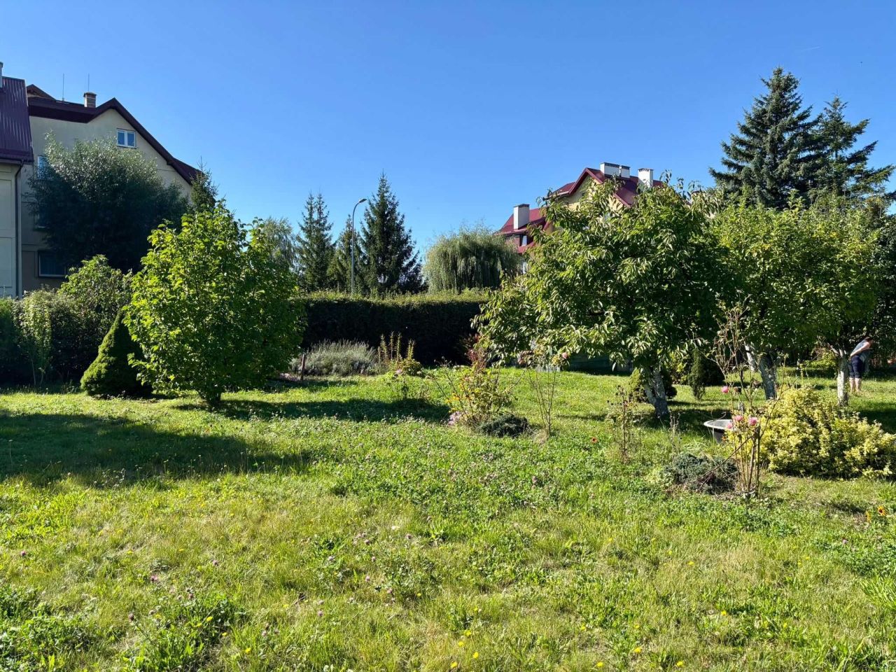 Działka rod Ostrów Wielkopolski