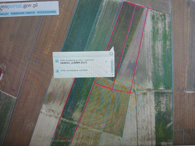 Działka rolna Naborowo. Zdjęcie 1