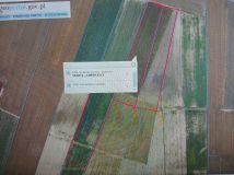 Działka rolna Naborowo