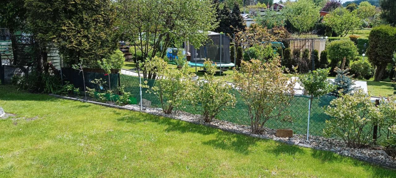 Działka rod Rybnik. Zdjęcie 3