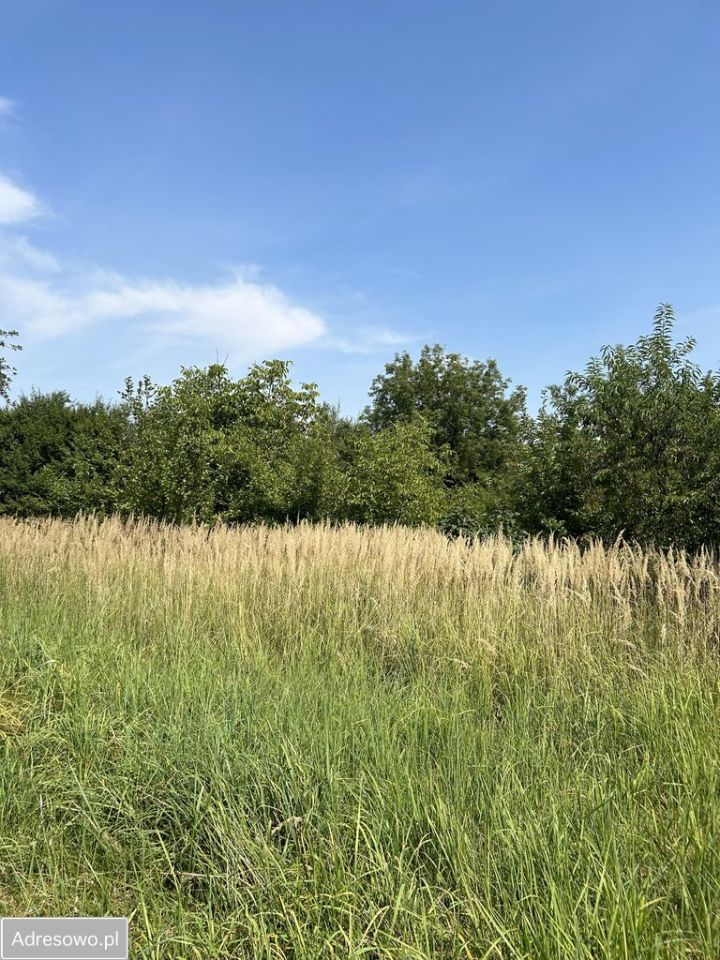 Działka budowlana Łojki, ul. Zielona. Zdjęcie 4