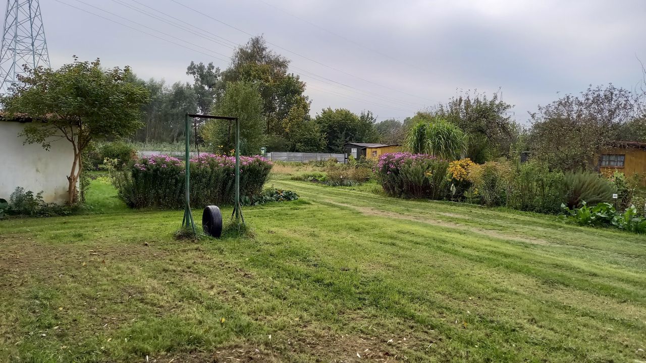 Działka rod Gdańsk Olszynka, ul. Kacza. Zdjęcie 19