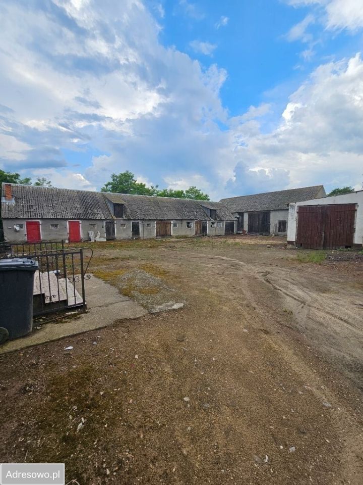 gospodarstwo, 3 pokoje Czeszewo. Zdjęcie 9