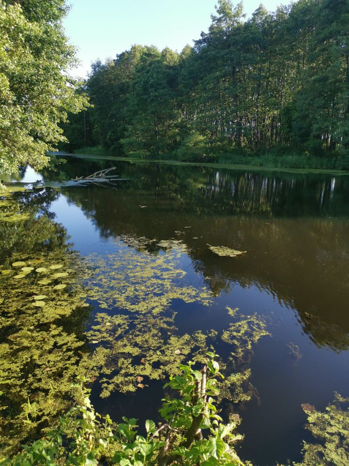 Działka rekreacyjna Wólka Zamkowa. Zdjęcie 3