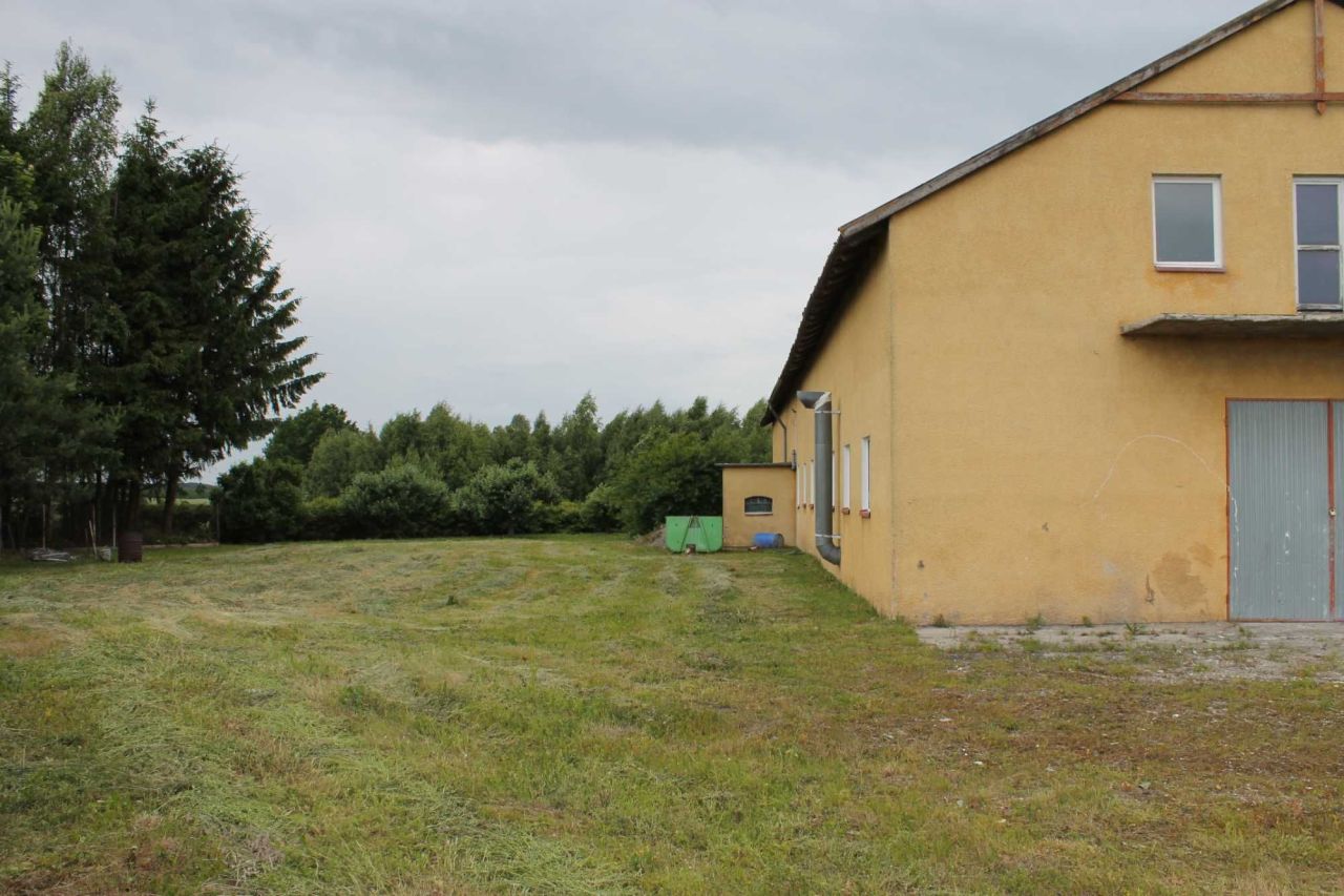 Hala/magazyn Wodziany. Zdjęcie 3