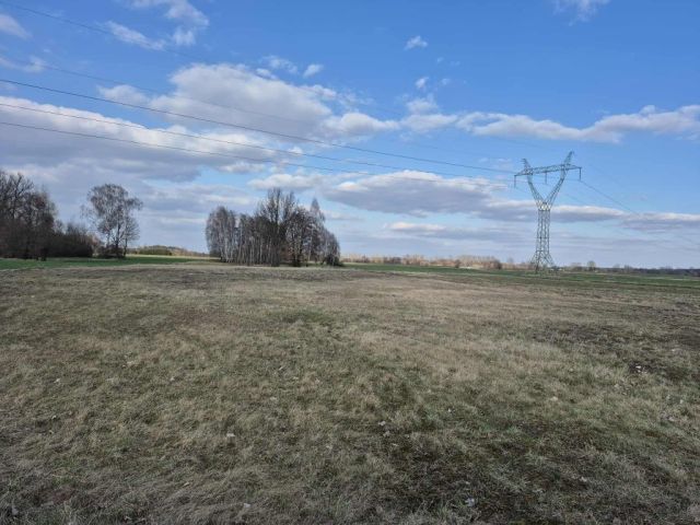 Działka rolno-budowlana Ostrowsko. Zdjęcie 1