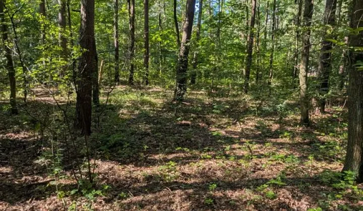 Działka budowlana Władysławów, ul. Sosnowa