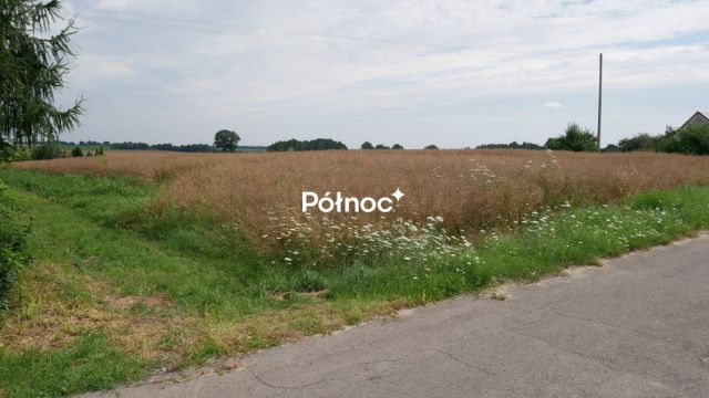 Działka budowlana Żeliszów. Zdjęcie 4
