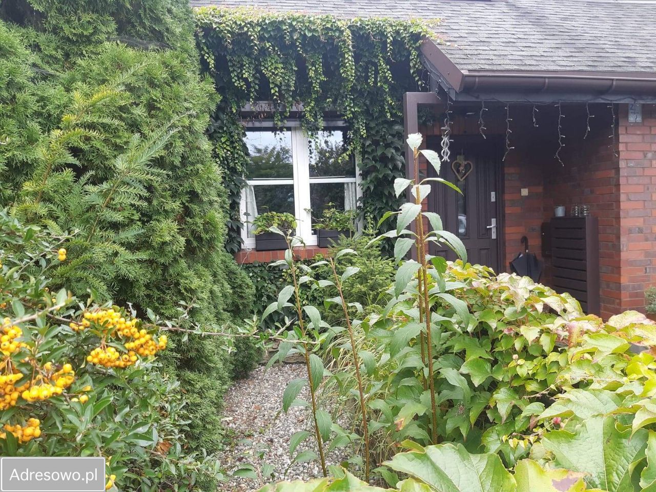 dom szeregowy, 5 pokoi Katowice Panewniki, ul. Łąkowa