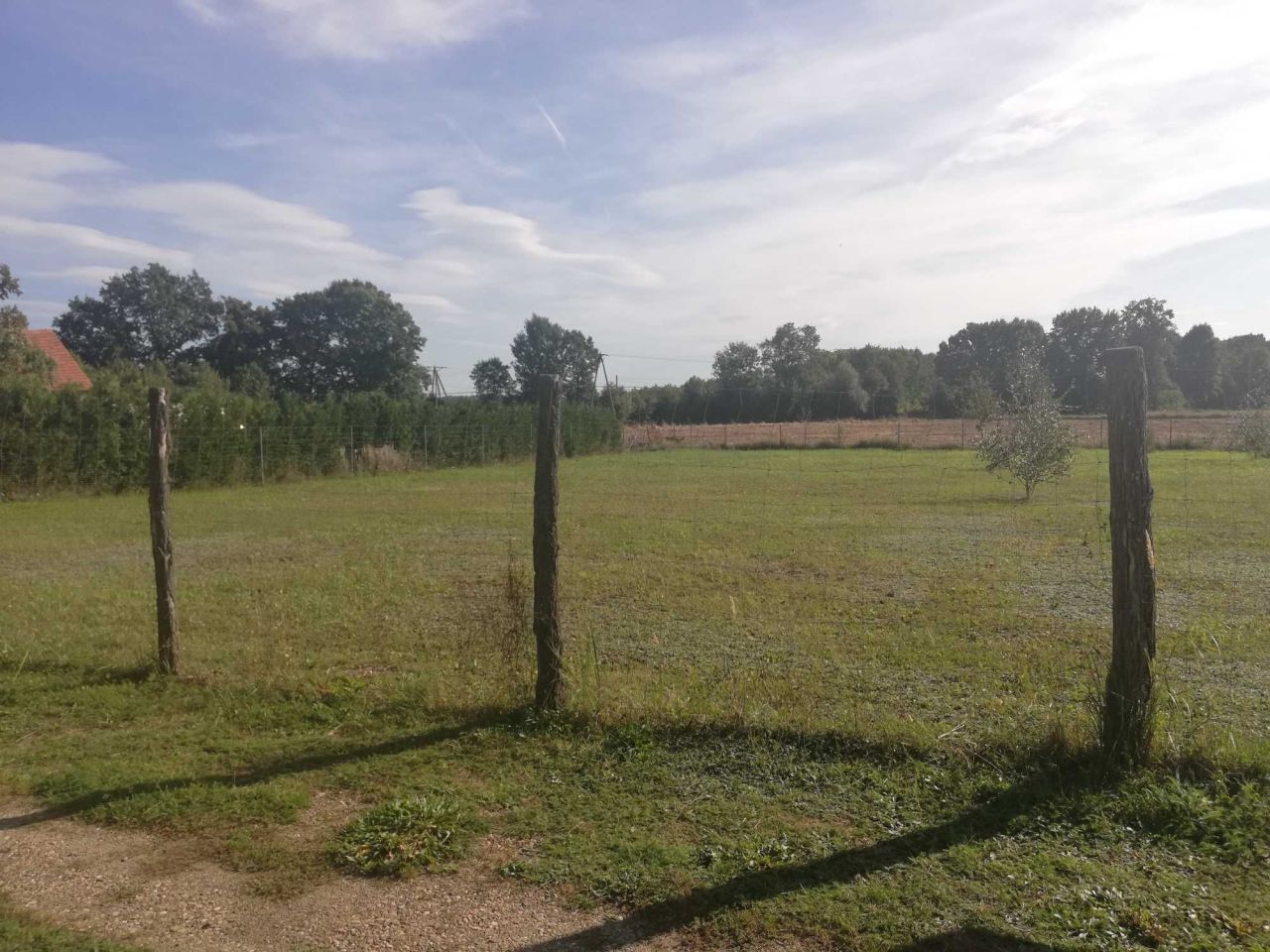 Działka budowlana Głębocko. Zdjęcie 2