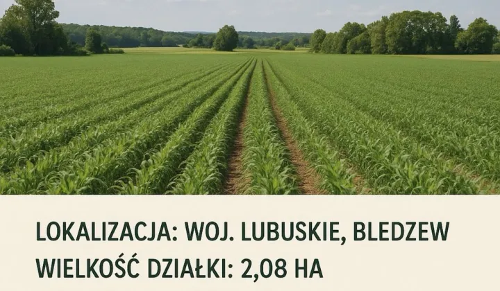 Działka rolna Bledzew