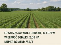Działka rolna Bledzew