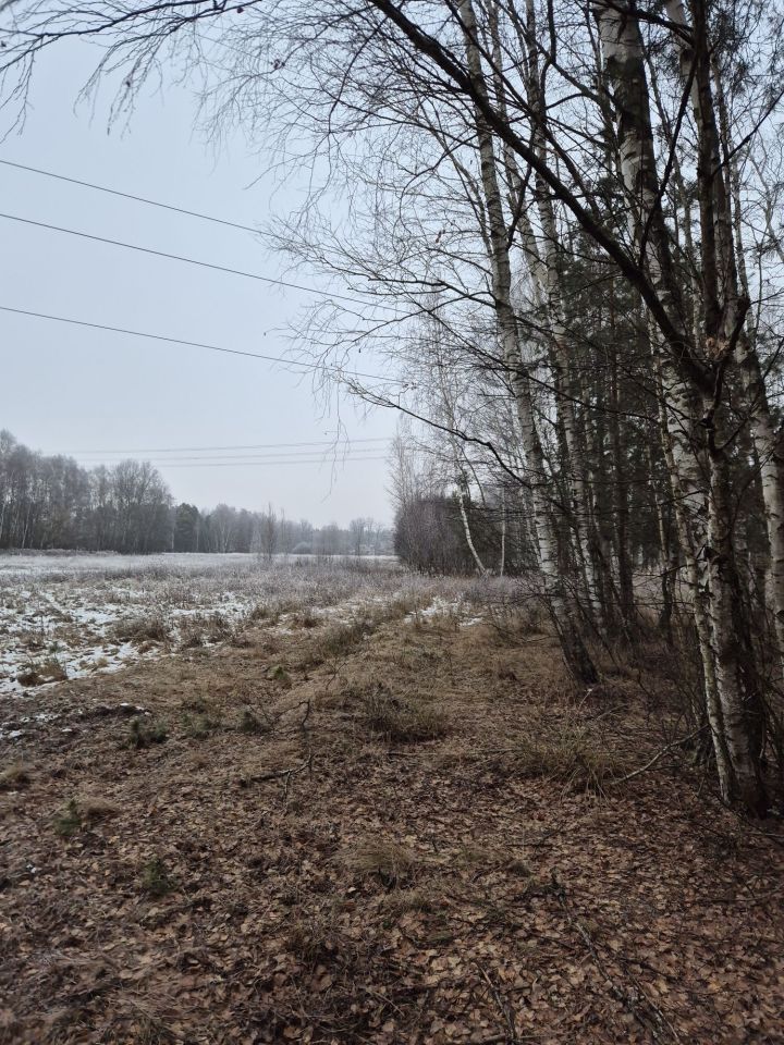 Działka rolna Widełka. Zdjęcie 6