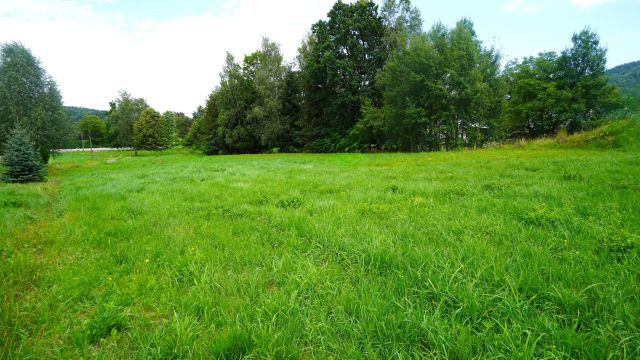 Działka budowlana Męcina Wielka. Zdjęcie 3