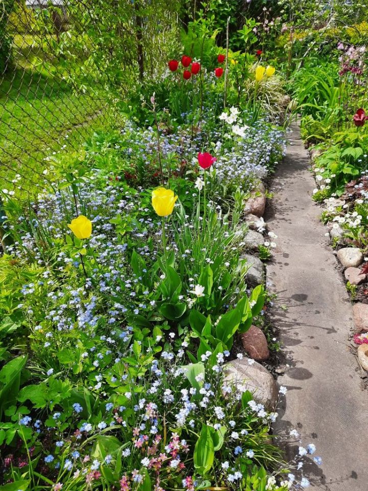 Działka rod Olsztyn, al. Aleja Generała Władysława Sikorskiego. Zdjęcie 7