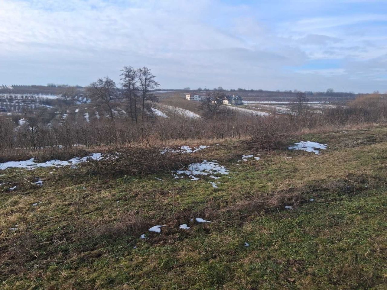 Działka rolna Andruszkowice. Zdjęcie 4