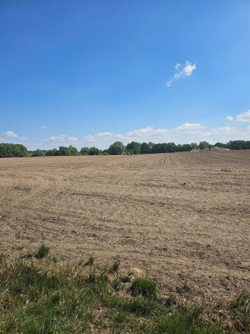 Działka rolna Stobno. Zdjęcie 3