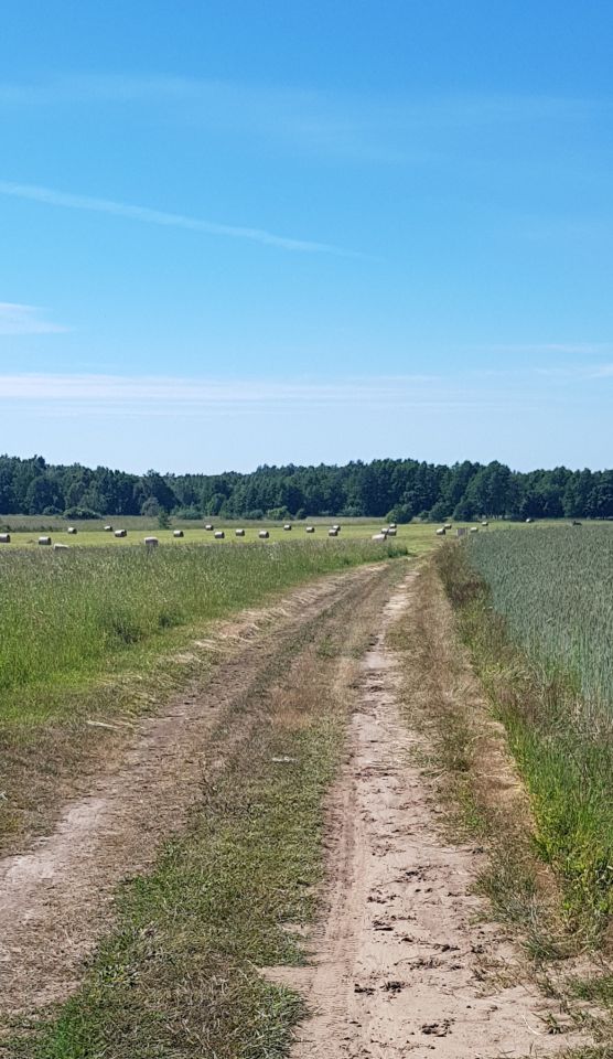 Działka budowlana Sarbsk, ul. Morska. Zdjęcie 15