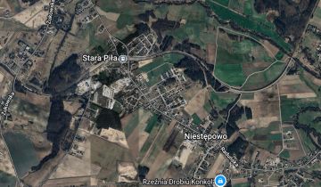 dom wolnostojący, 6 pokoi Niestępowo, ul. Kasztanowa