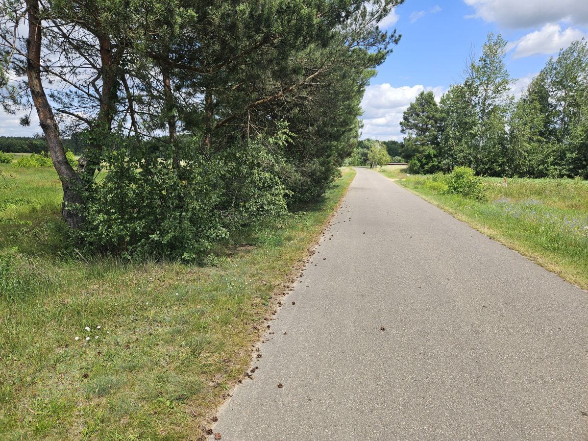 Działka budowlana Stare Wrońska. Zdjęcie 16