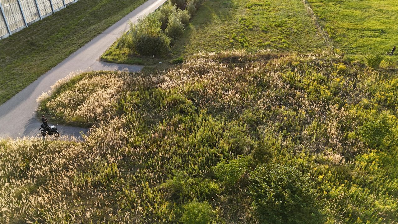 Działka rolna Opacz-Kolonia, ul. Zofii. Zdjęcie 8