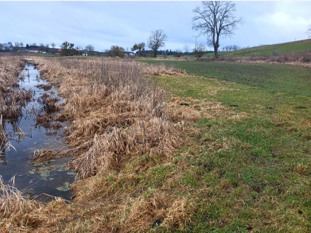 Działka rolna Grzymiradz. Zdjęcie 3