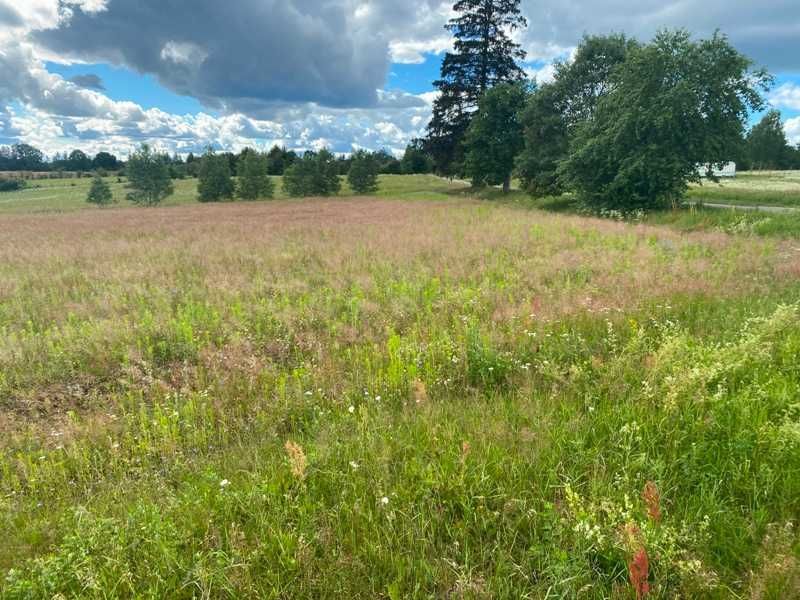 Działka rolna Starzno. Zdjęcie 2