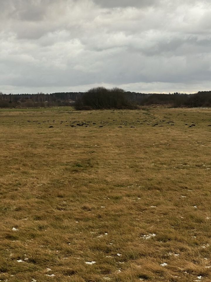 Działka rolno-budowlana Przygodzice, ul. Krańcowa. Zdjęcie 2