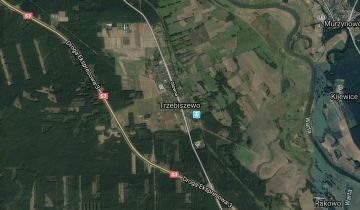 Działka rolna Trzebiszewo