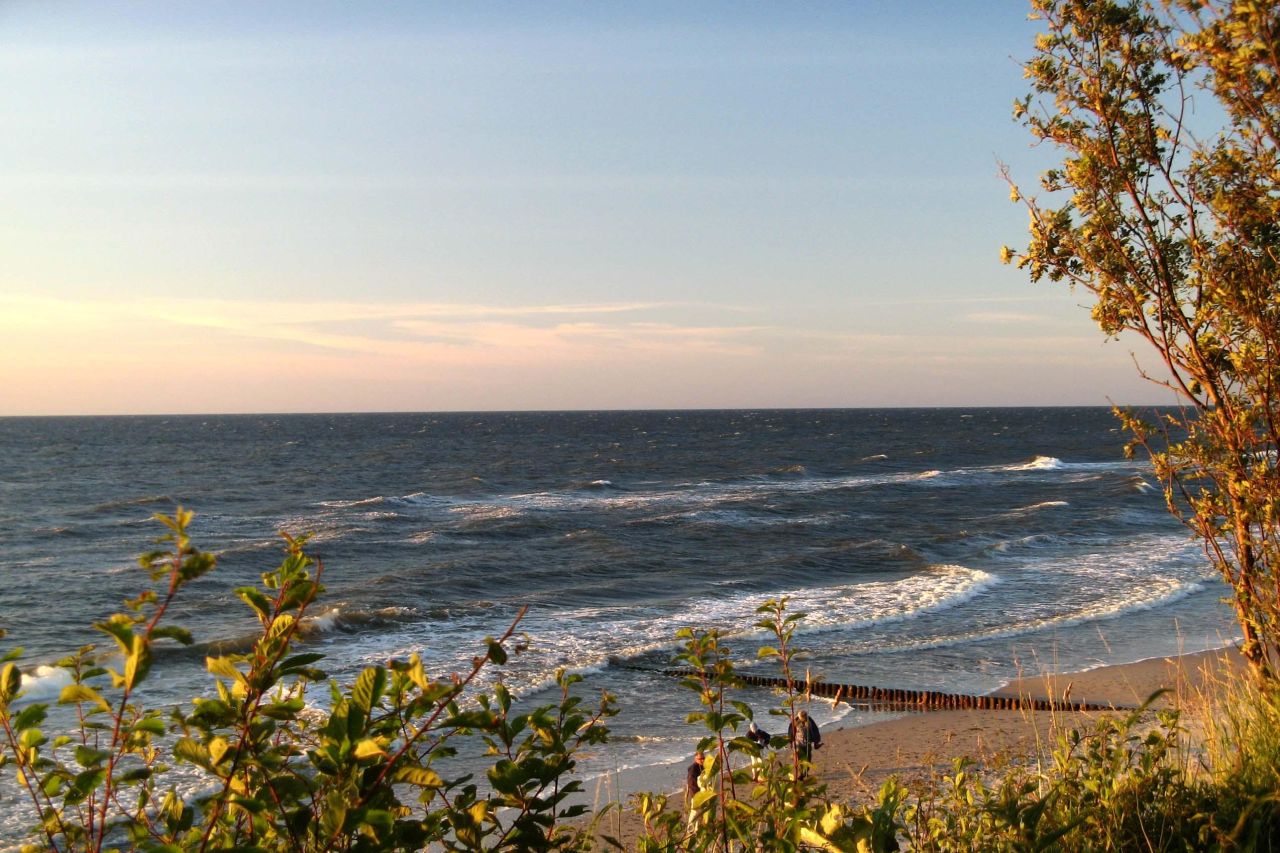 Działka rolna Pobłocie. Zdjęcie 7