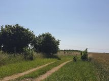 Działka rolno-budowlana Witkowo Drugie, ul. Czereśniowa. Zdjęcie 2