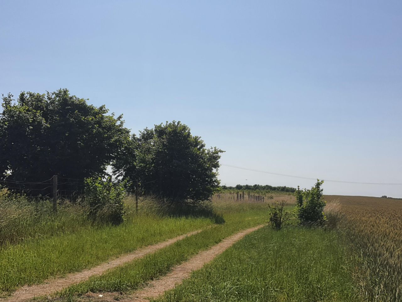 Działka rolno-budowlana Witkowo Drugie, ul. Czereśniowa. Zdjęcie 3