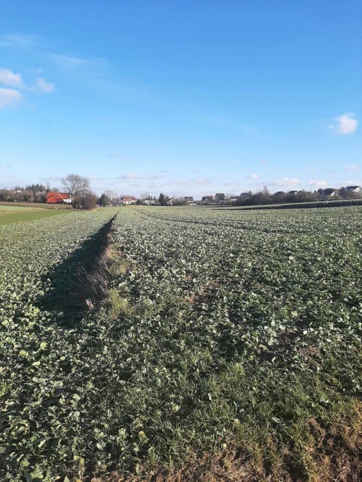 Działka budowlana Pułtusk. Zdjęcie 2