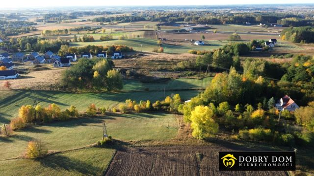 dom wolnostojący, 3 pokoje Krynice. Zdjęcie 9