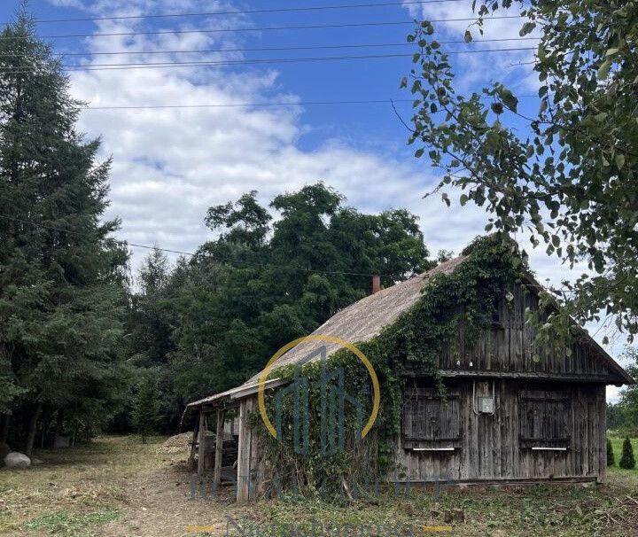 Działka siedliskowa Gołąb. Zdjęcie 5