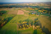 Działka budowlana Korzenna. Zdjęcie 1