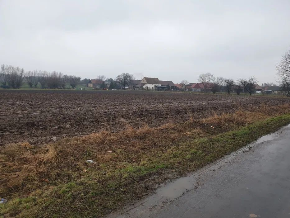 Działka rolna Osiek. Zdjęcie 1