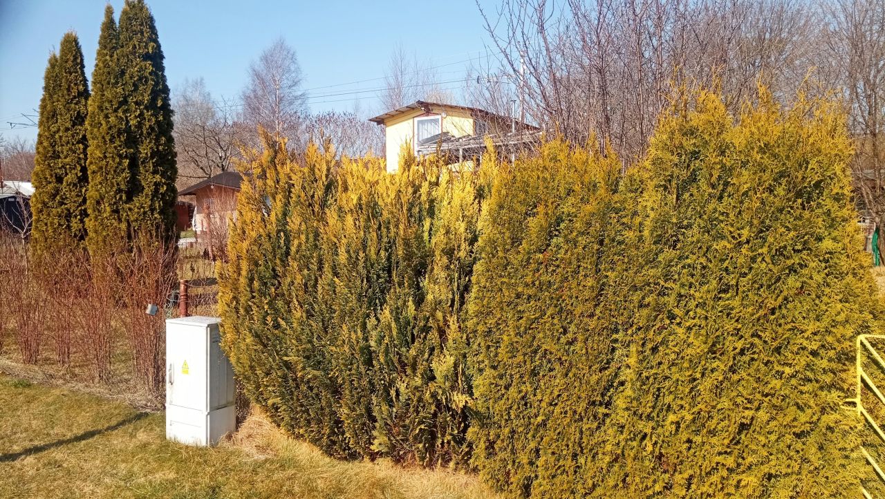 Działka rod Gdynia, ul. Hutnicza. Zdjęcie 3