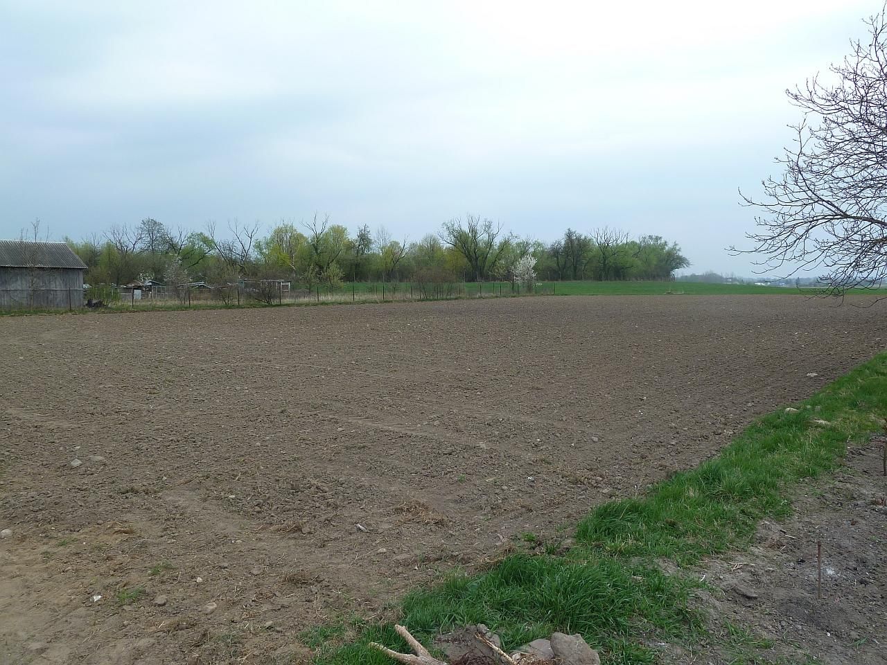 Działka rolno-budowlana Kacice. Zdjęcie 3