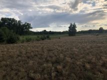 Działka budowlana Kolankowo, ul. Sielanka. Zdjęcie 2