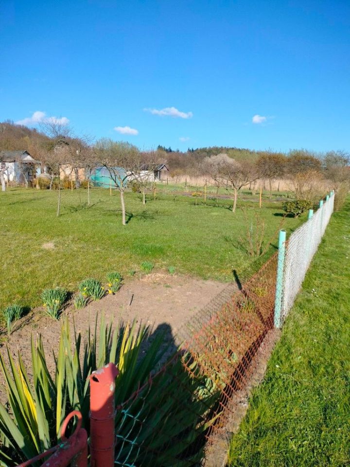 Działka rod Ziębice. Zdjęcie 6