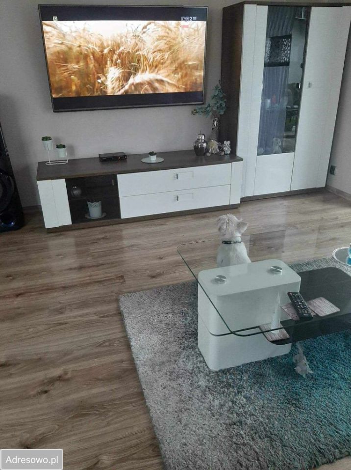 dom wolnostojący, 4 pokoje Pabianice, ul. Składowa. Zdjęcie 20