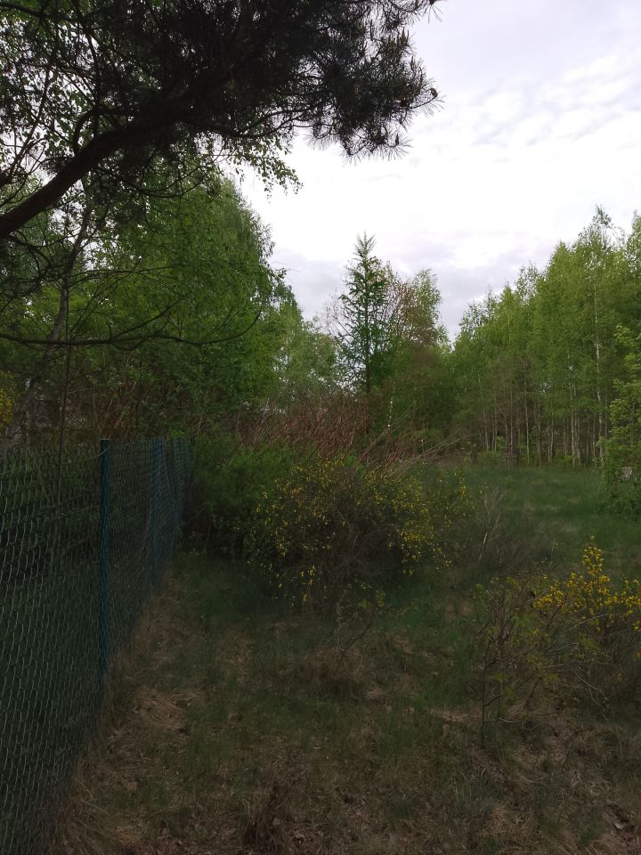 Działka rekreacyjna Adamówek, ul. Pańska. Zdjęcie 8