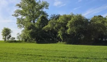Działka rolno-budowlana Olszyn
